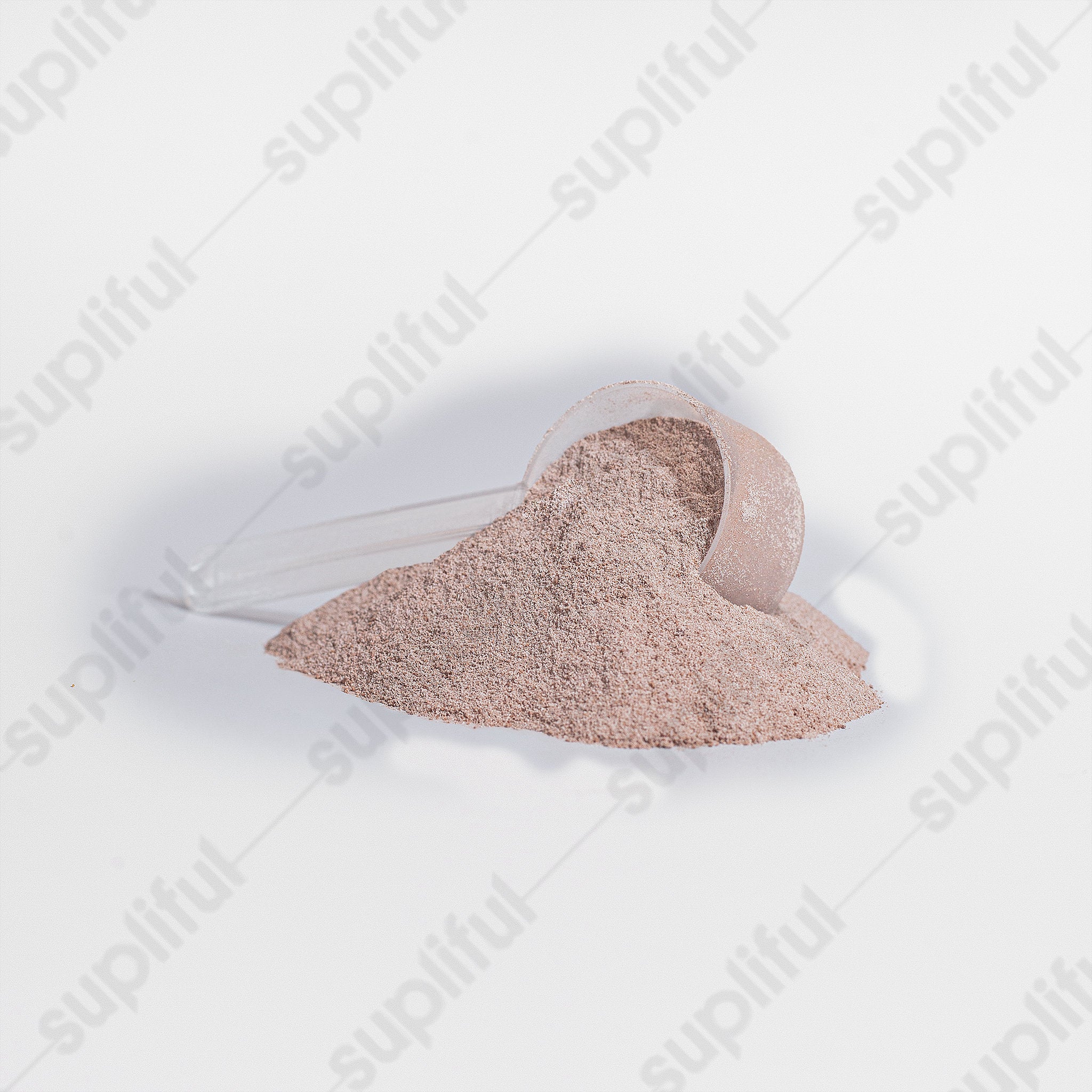 FNMR ROOTS – Daily Plant Protein (Vanilla)