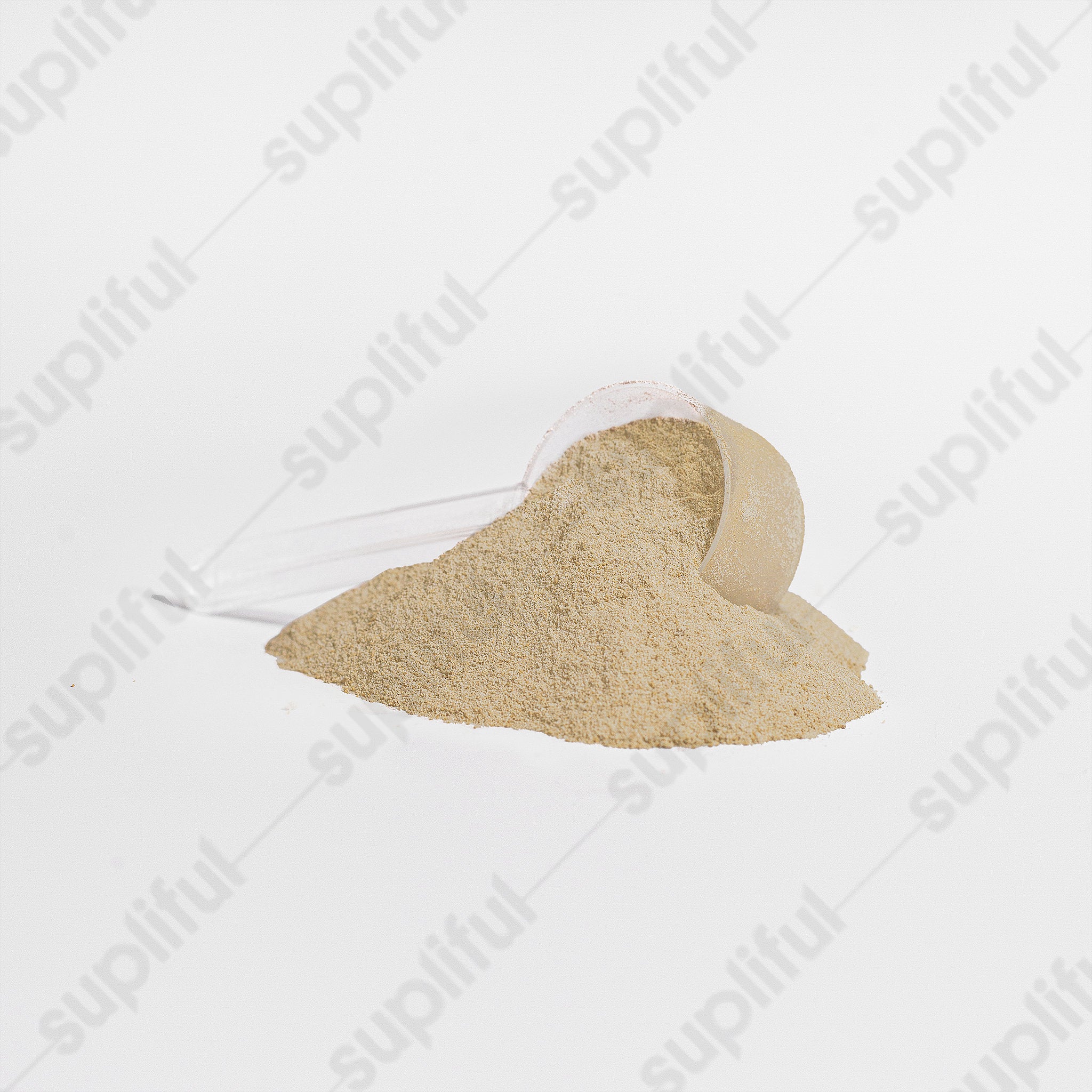 FNMR BUILD – 100% Whey Isolate Protein (Vanilla)