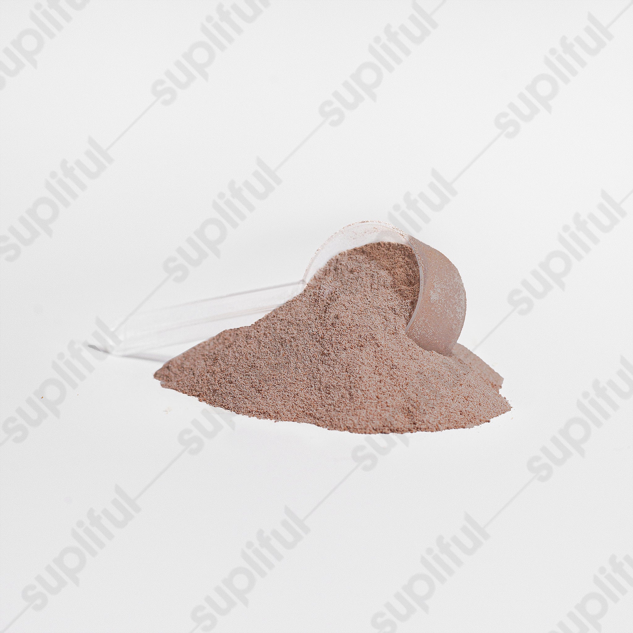 FNMR BUILD 100% WHEY PROTEIN ISOLATE (Chocolate)